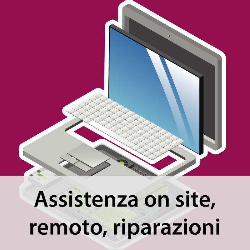 AssistenzaOnsite_300_400_2