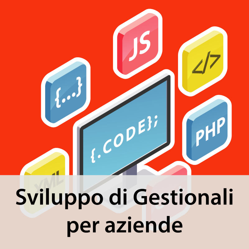SviluppoGestionali_300_400_2